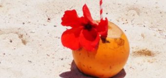 mauritius-reise-kokosnuss